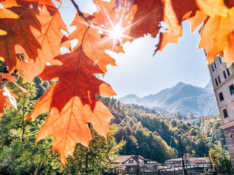 В Сочи подготовили для школьников программу мероприятий на осенних каникулах