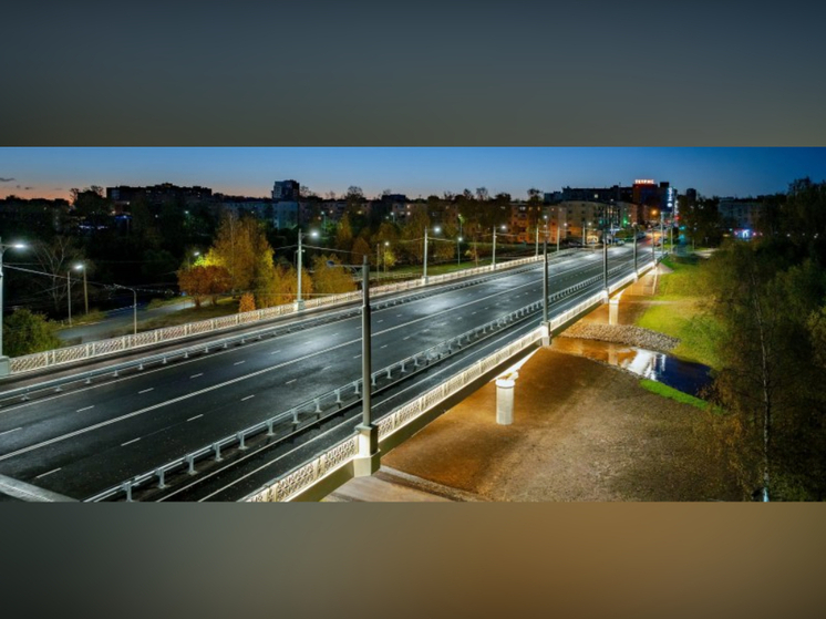 Новый Лобановский мост засиял огнями благодаря установке 450 осветительных приборов
