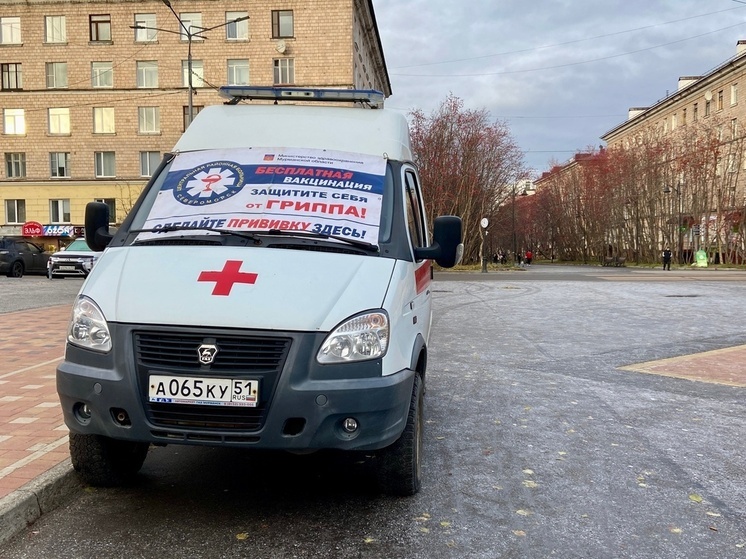 Северяне могут сделать прививку от гриппа в мобильном пункте в Североморске