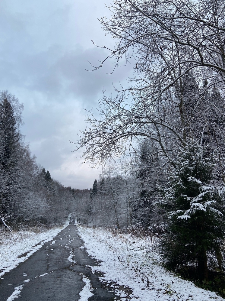 В Гидрометцентре сделали прогноз по поводу предстоящей зимы