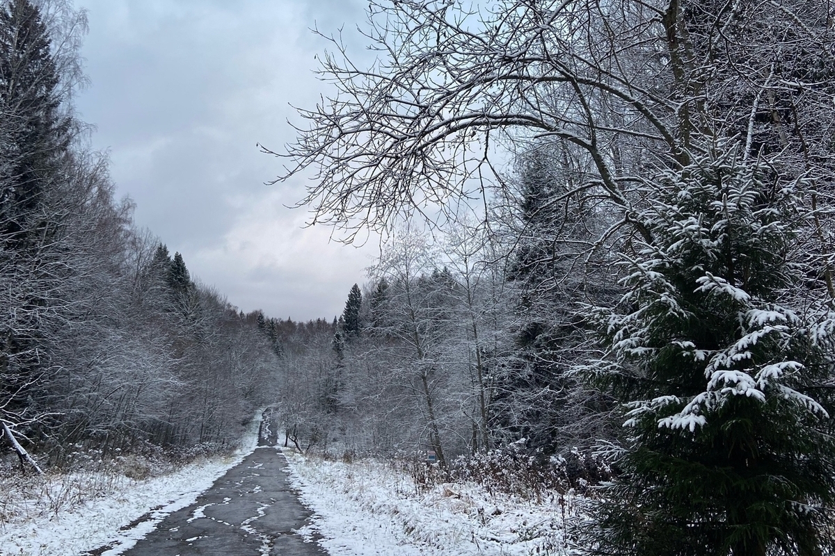 В Гидрометцентре сделали прогноз по поводу предстоящей зимы