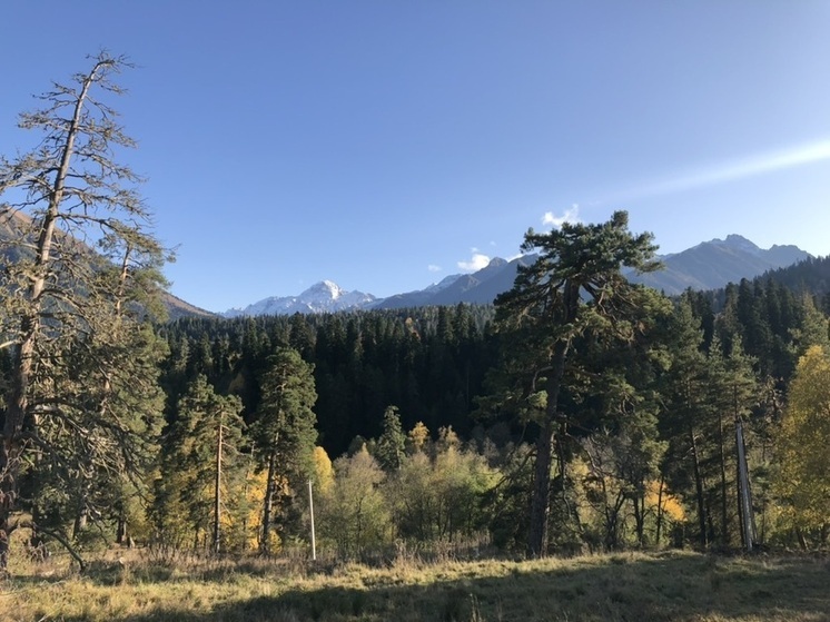 В КЧР прошёл праздник карачаевской породы лошадей