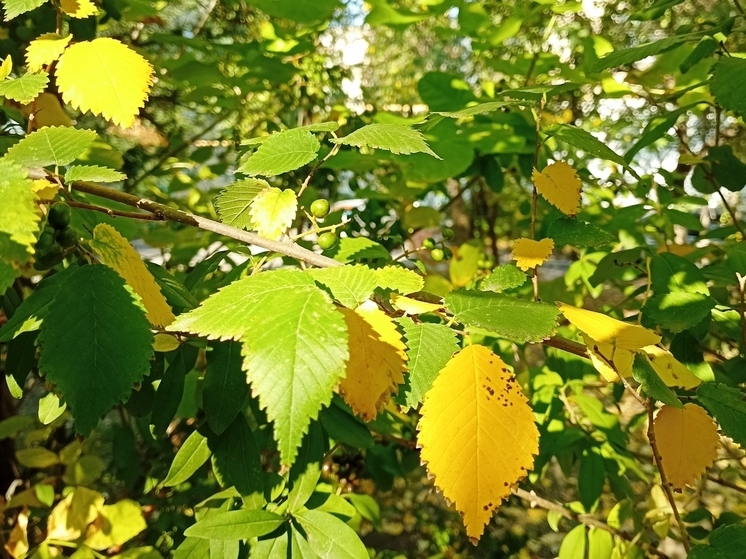 Сила магнитной бури 27 октября составит 4 балла: удачный день для любой деятельности