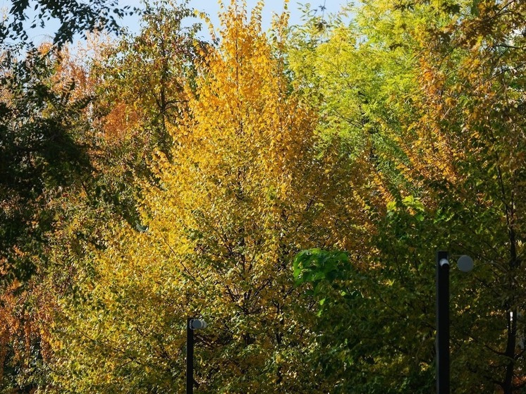 Народные приметы: чего нельзя делать 27 октября, в день Параскевы Пятницы