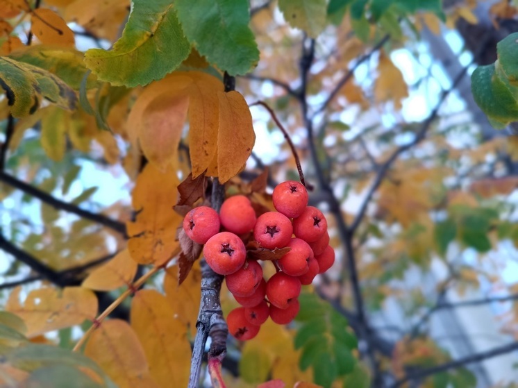 Что можно и что нельзя делать в День Параскевы Грязнухи на Ставрополье