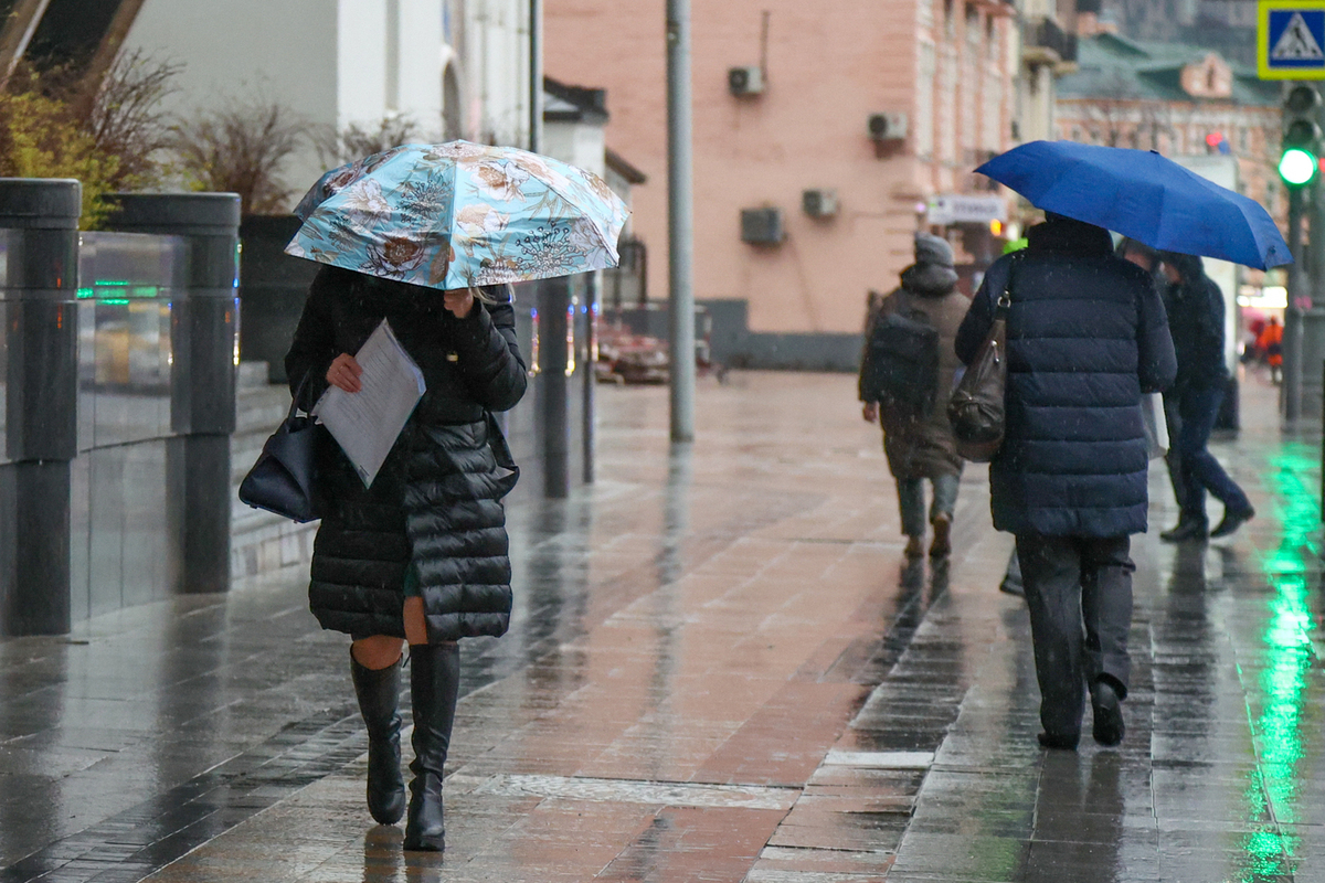 Введен желтый уровень опасности из-за дождя в Москве и Подмосковье