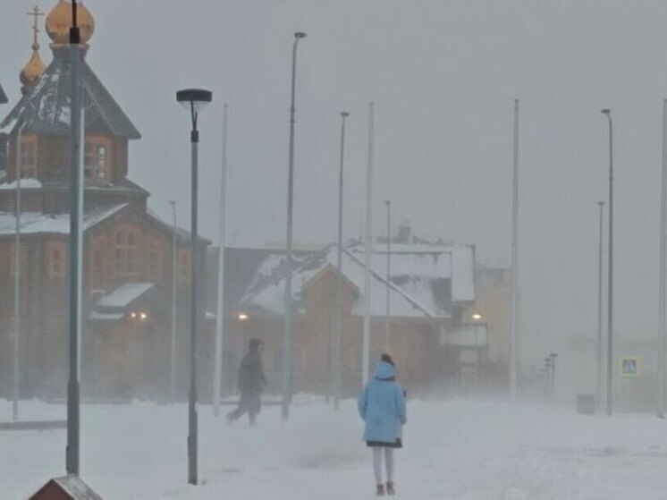 Низовая метель ожидается в понедельник на побережье морей