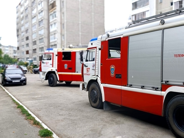В Зауралье за сутки ликвидировали восемь пожаров