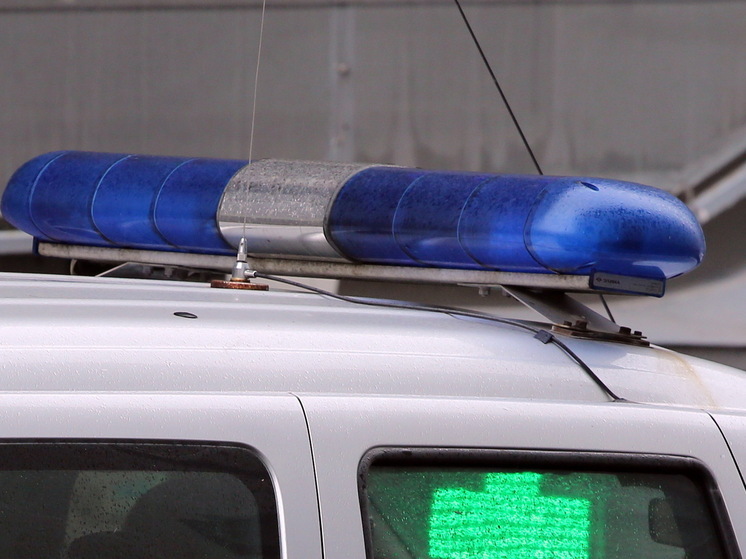 Арестованы новые фигуранты дела о хищении денег у бойцов СВО в Шереметьево