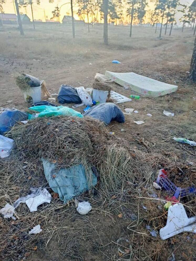 В Улан-Удэ выявлена несанкционированная свалка рядом с кладбищем в районе Мелькомбината