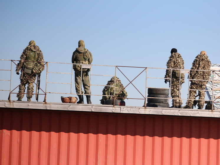 Рыжий кот Вася стал талисманом подразделения группировки войск "Восток" в зоне СВО