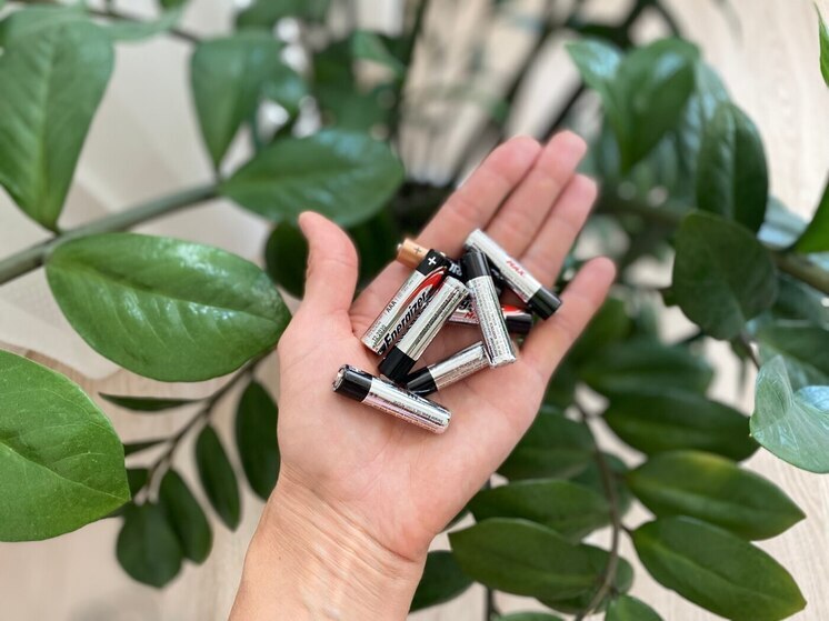  Абаканский детский сад победил в акции по сбору батареек