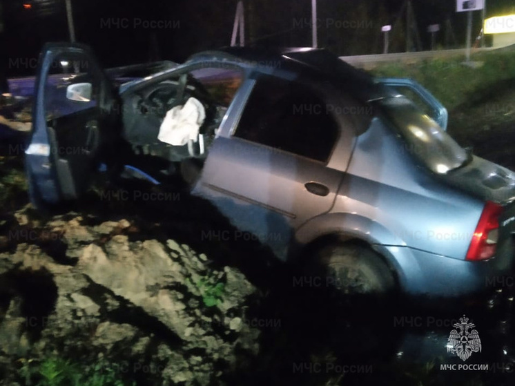 В ДТП с двумя иномарками под Бабынино пострадали несколько человек