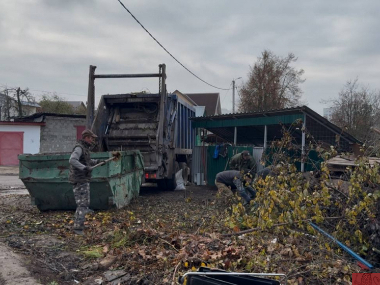Во Владимире начали масштабную очистку от незаконных свалок