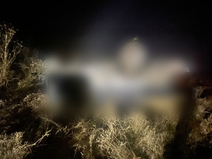 Водитель погиб при опрокидывании ВАЗа на трассе в Новосибирской области