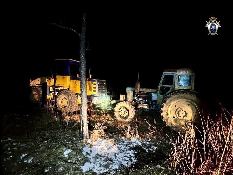 В Приамурье лесоруб случайно убил коллегу на работе