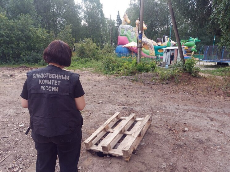 Коммунальные службы выплатят полмиллиона рублей девочке, провалившейся в люк в Карелии