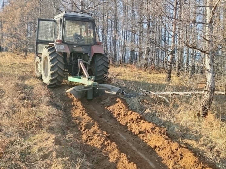 Осипов поручил вырубить лес рядом с населенными пунктами