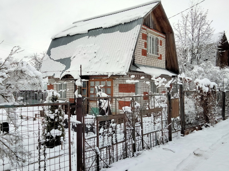 Осенняя искореняющая обработка сада: разбираем 5 главных вопросов, которые волнуют всех садоводов