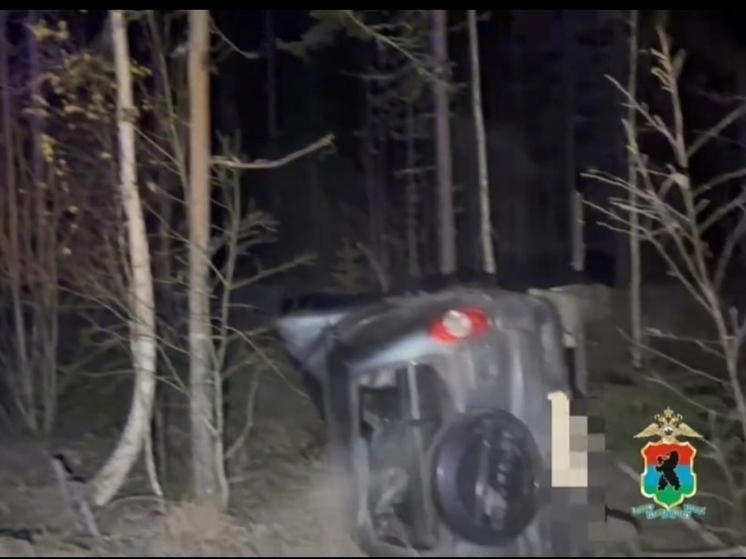 В Карелии разыскивают очевидцев смертельного ДТП