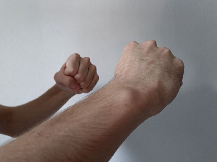 Барнаульцы не поделили территорию для выгула собак и устроили драку