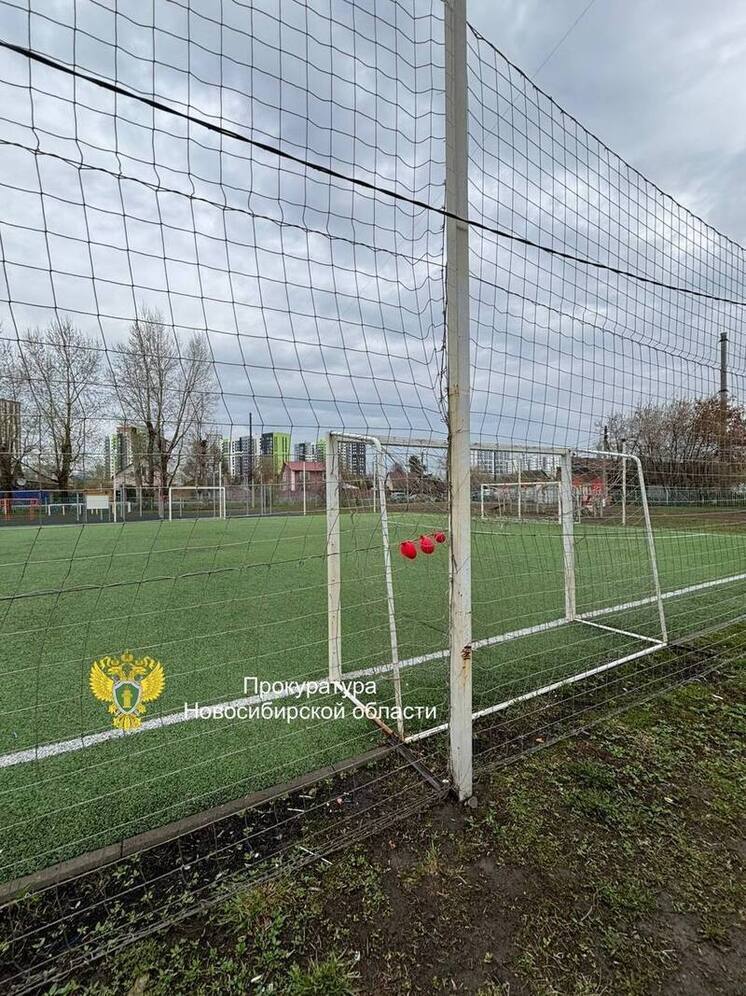 Директора школы в Новосибирске осудят за травмирование учеников на футбольном поле