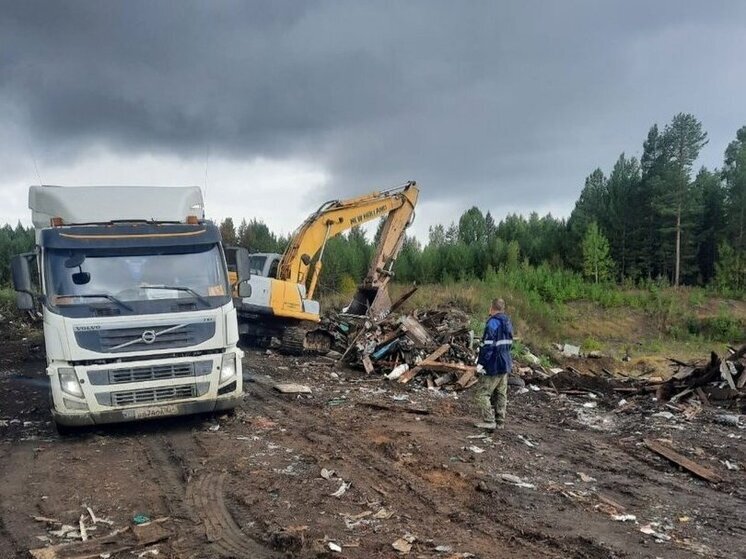 В Красноярском крае создают систему видеомониторинга для борьбы с лесными свалками