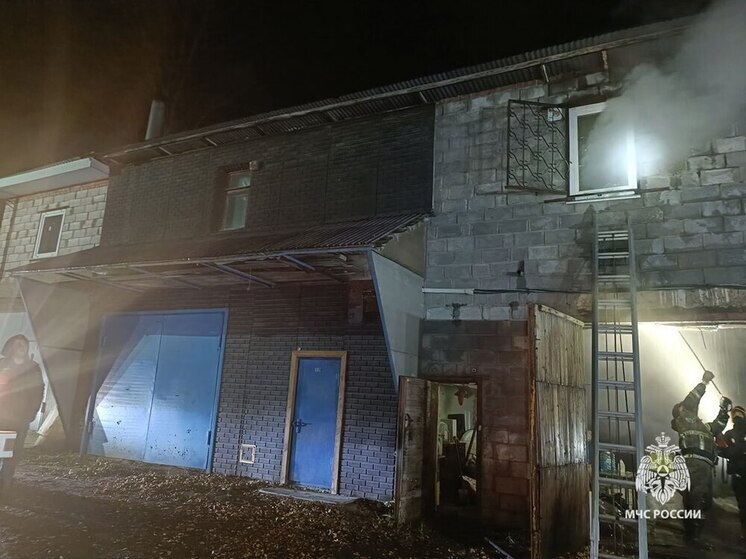 На улице Октябрьской в Туле потушен пожар в гараже