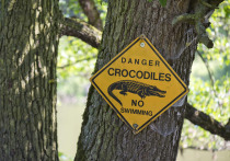 Четырнадцатилетний мальчик госпитализирован после нападения крокодила во время рыбалки на пляже в австралийском штате Квинсленд