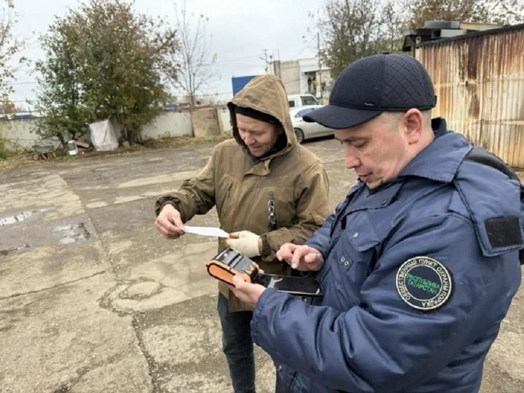В Челнах расклейщиков объявлений на столбах будут наказывать с помощью «Ангела»