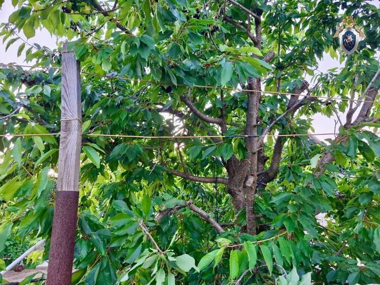 В Астраханской области ребенок погиб от удара током из-за залатанной изолентой проводки