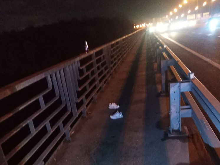 Женщина сумела выжить после прыжка с моста на севере Москвы