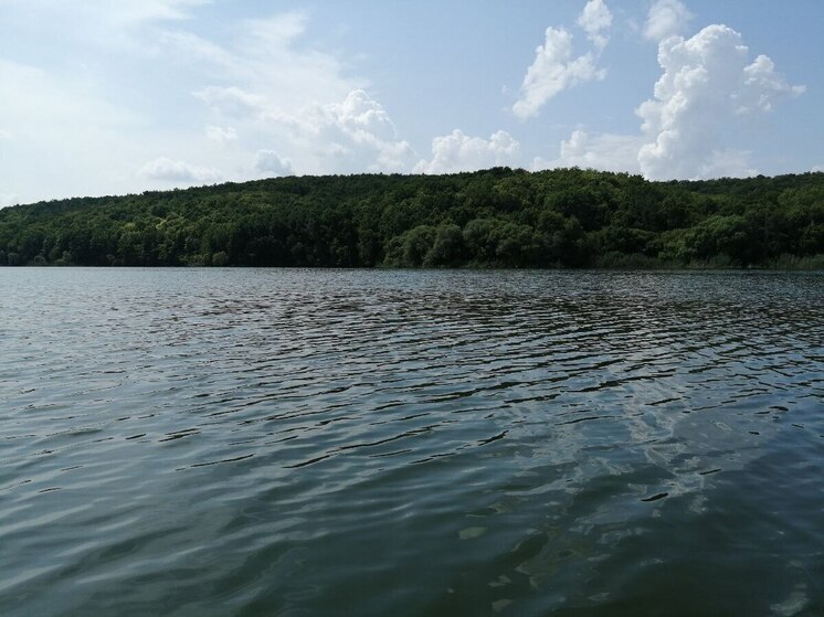 Губернатор: ситуация на Белгородском водохранилище стабильна