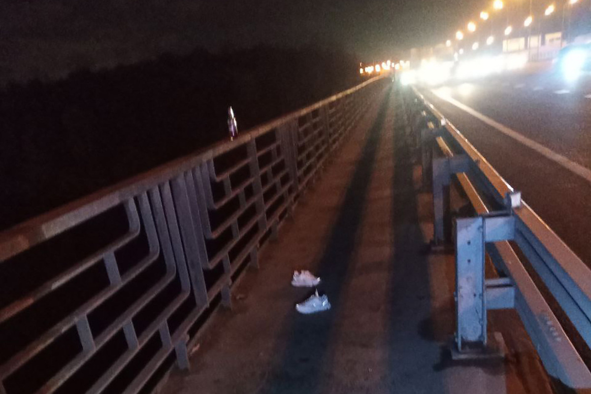 Женщина сумела выжить после прыжка с моста на севере Москвы