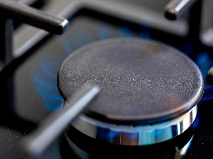 Липчан предупреждают о мошенниках в костюмах газовиков