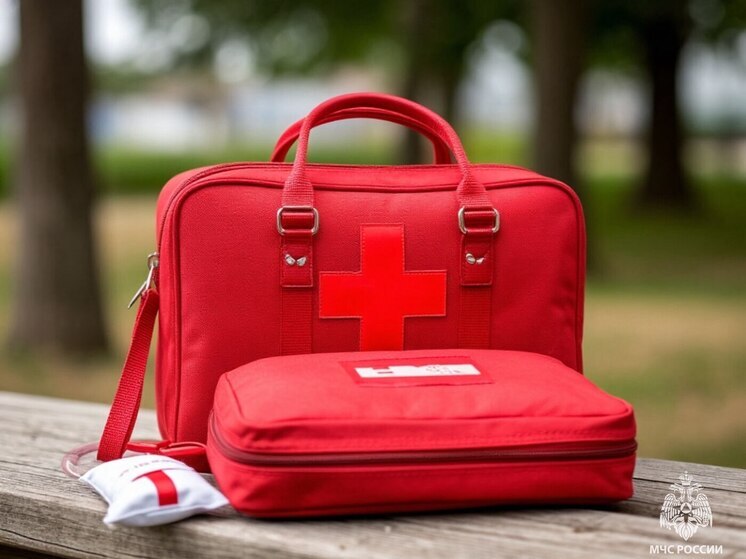 Псковичам рассказали, как правильно хранить лекарства, чтобы не навредить себе и близким