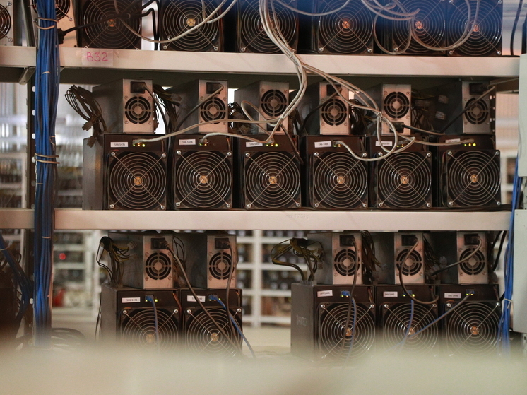 МВД: в Ленобласти полиция закрыла майнинг-ферму из-за кражи света на ₽1 млрд