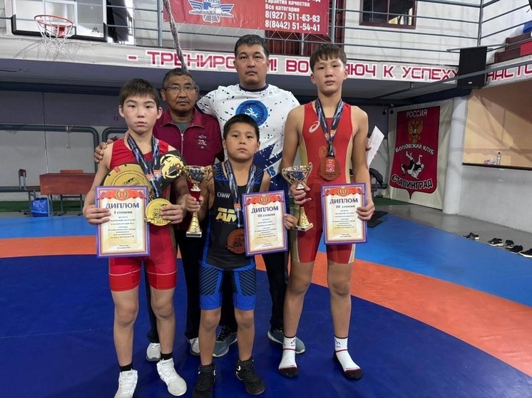 Борцы из Калмыкии привезли медали межрегионального турнира