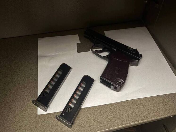 Жителя Ломоносова задержали за стрельбу из «пневматики» на детской площадке