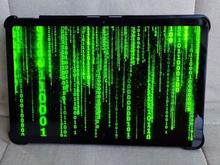 В Ленобласти накрыли нелегальную майнинг-ферму за похищение энергии на миллиард