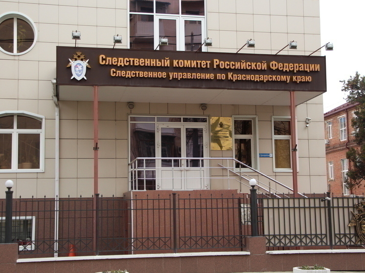 Бастрыкин затребовал доклад по делу о нападении собак на ребенка в Краснодаре
