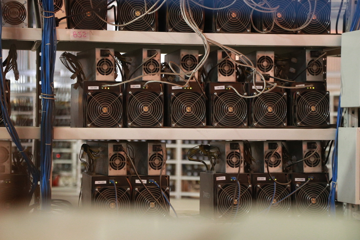 Российские полицейские накрыли майнинг-ферму с ущербом на ₽1 млрд в Ленобласти