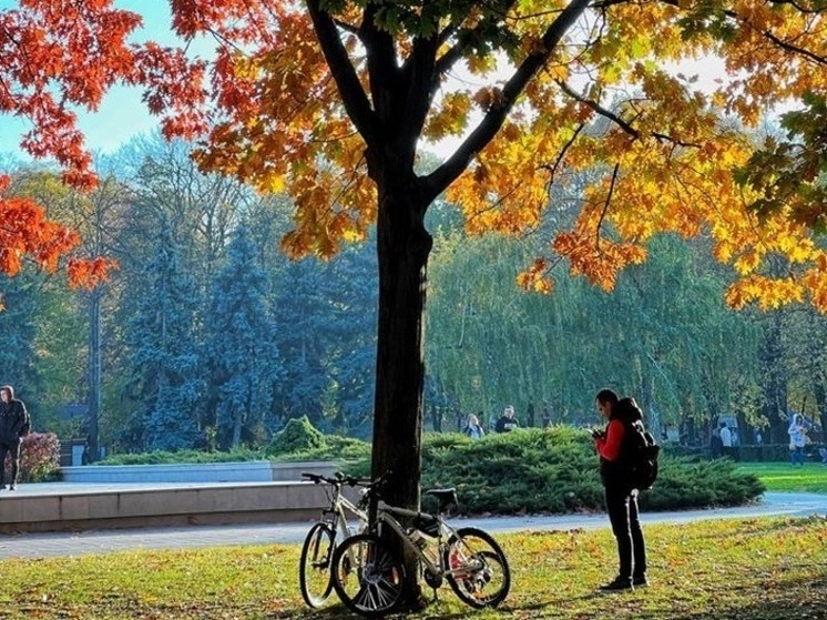 Исследователи включили Кубань в тройку регионов с наибольшим числом происшествий с велосипедистами