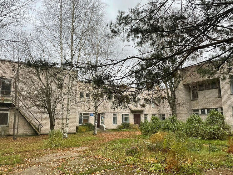 Здание начальной школы капитально отремонтируют в Шексне