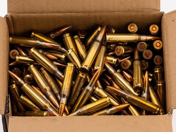 Запорожец приговорен к лишению свободы за незаконное хранение взрывных устройств и боеприпасов