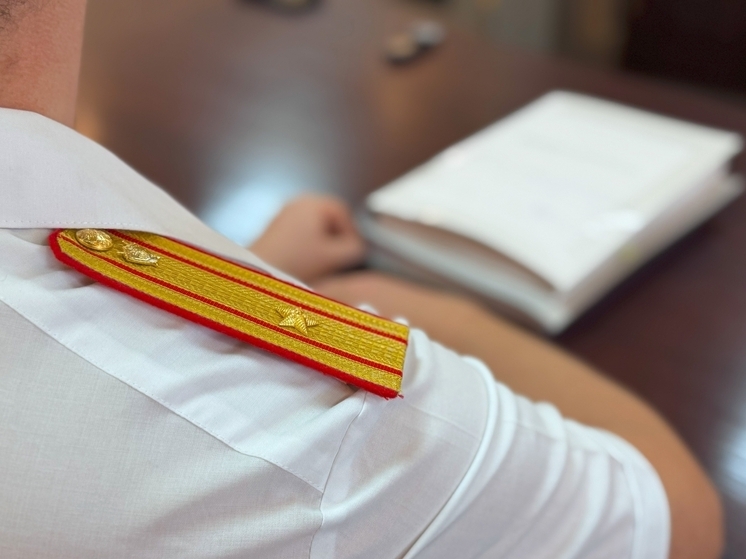 Во Владимирской области директор фирмы скрыл от налогов 15 миллионов