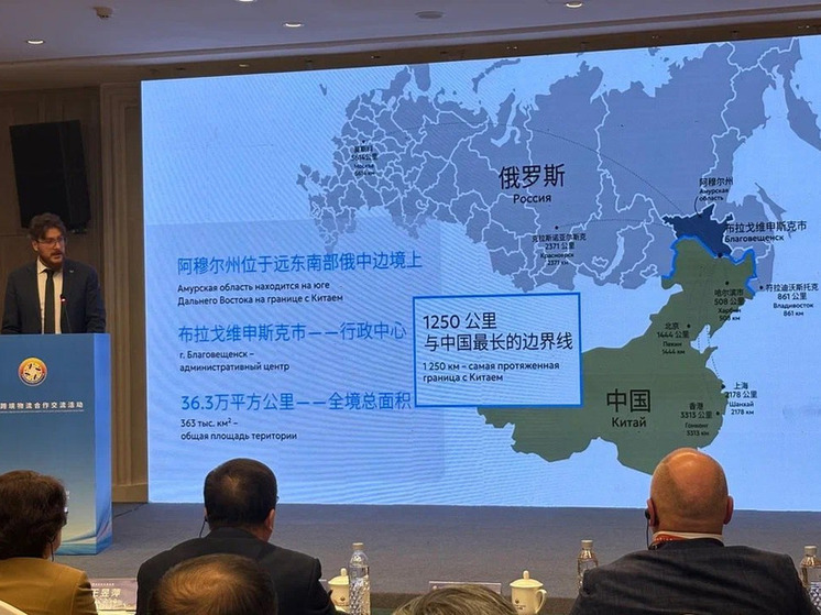 Преимущества логистики через мост «Благовещенск – Хэйхэ» представили на форуме в Шэньяне