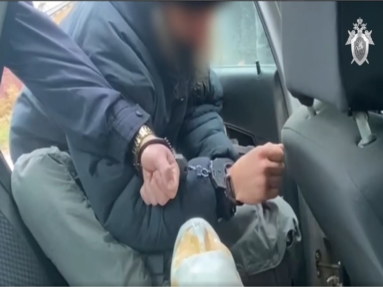 Житель Бугуруслана подозревается в убийстве учительницы и инсценировке ДТП