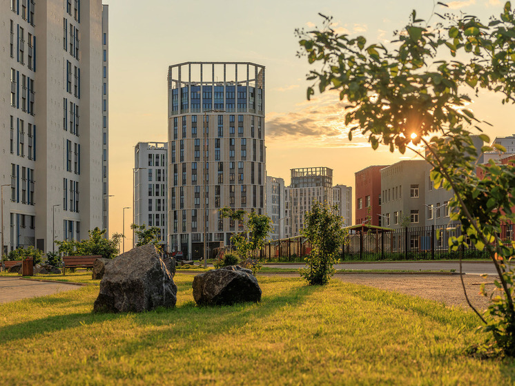Новый облик Васильевского острова: какое будущее ждет самый перспективный район Петербурга?
