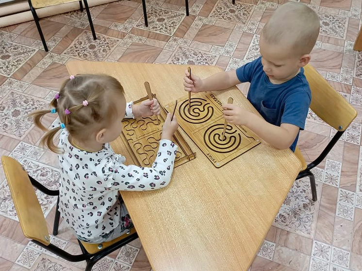 Липецкие воспитатели делятся методиками обучения с коллегами из ДНР